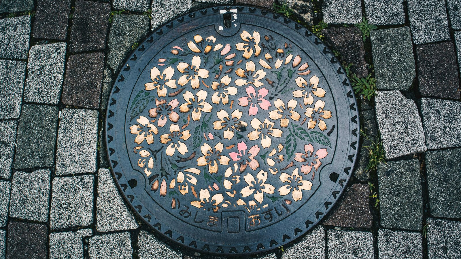 Japanese manhole cover with blossom flower art