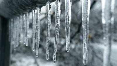 Frozen winter icicles