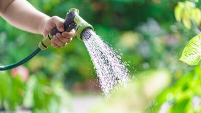 watering the garden with rainwater harvesting 